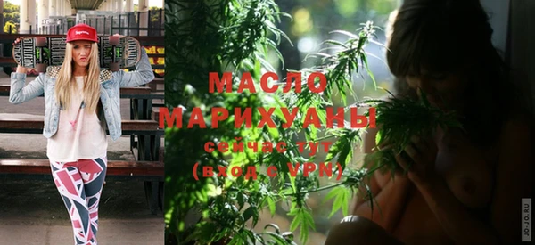 сатива Армянск
